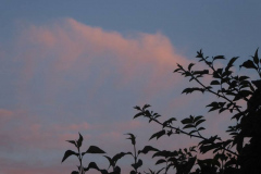 Photo by Caroline Brown