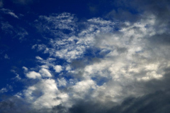 Photo by Dave Anscomb