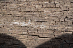 'Wood Texture' by Bob Brown