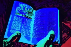 'Blue Book' by Robert Edmondson