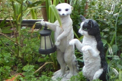 'Cat and Meerkat' by Caroline Brown