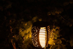 'Garden light' by Bob Brown